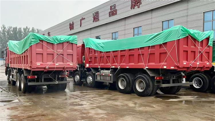 Howo 371hp 8x4 Dump Truck and Truck Tractor for Sale in Nigeria
