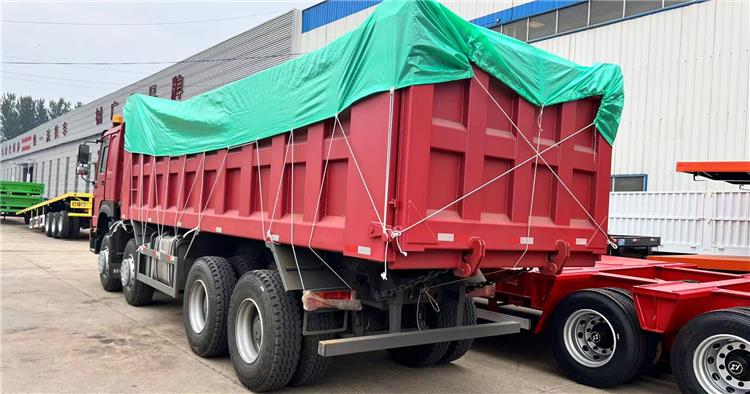Howo 371hp 8x4 Dump Truck and Truck Tractor for Sale in Nigeria