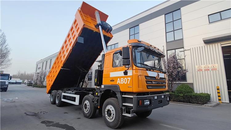 Shacman F3000 12 Wheeler 8x4 Dump Truck for Sale In Nigeria
